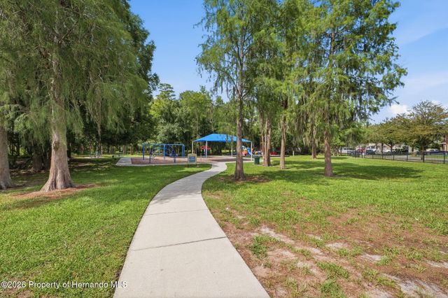 14026 Jacobson Drive, Odessa, FL 33556