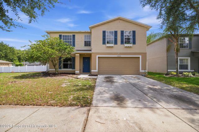 14026 Jacobson Drive, Odessa, FL 33556