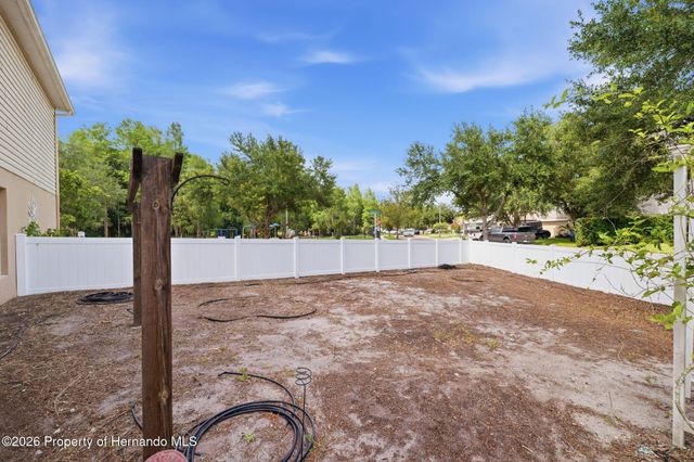 14026 Jacobson Drive, Odessa, FL 33556