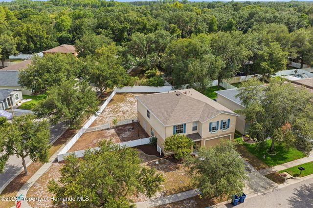 14026 Jacobson Drive, Odessa, FL 33556