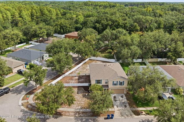 14026 Jacobson Drive, Odessa, FL 33556