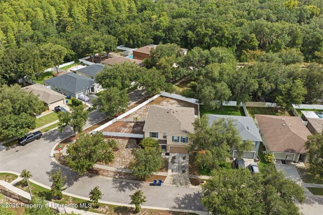14026 Jacobson Drive, Odessa, FL 33556
