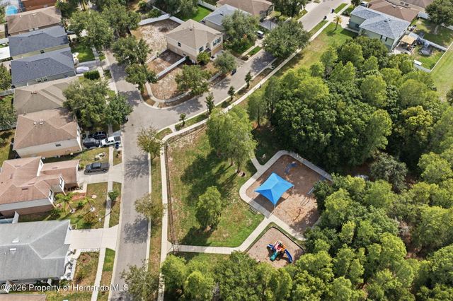14026 Jacobson Drive, Odessa, FL 33556