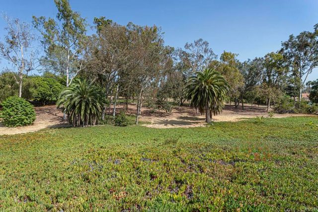 6678 Las Colinas, Rancho Santa Fe, CA 92067