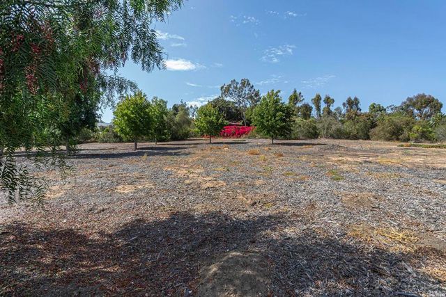 6678 Las Colinas, Rancho Santa Fe, CA 92067