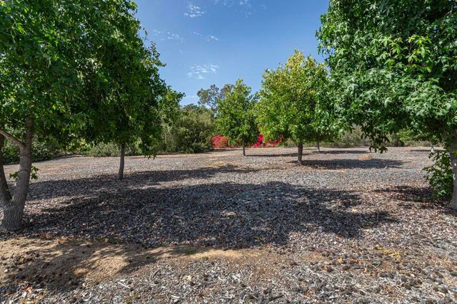 6678 Las Colinas, Rancho Santa Fe, CA 92067