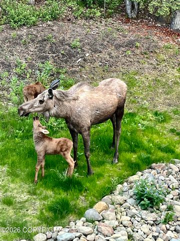 27365 Vantage Avenue, Eagle River, AK 99577