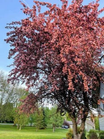 4515 W EDGEWOOD DRIVE, Appleton, WI 54913