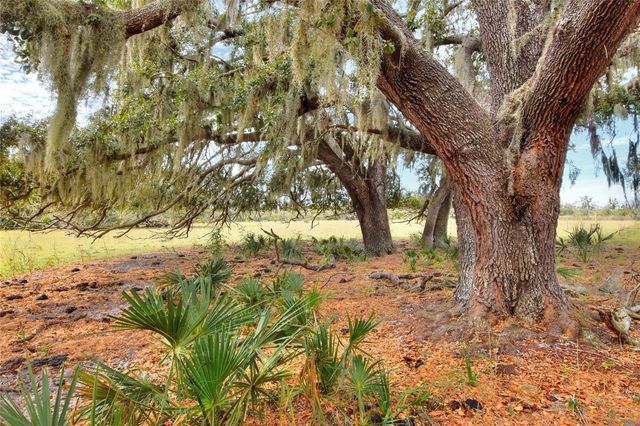 0 CARLTON LAKE ROAD, Wimauma, FL 33598
