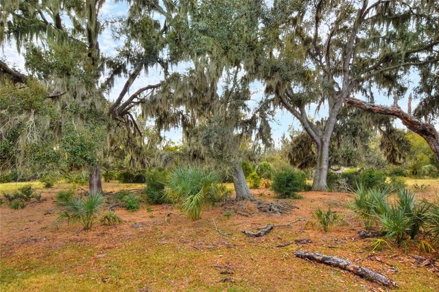 0 CARLTON LAKE ROAD, Wimauma, FL 33598