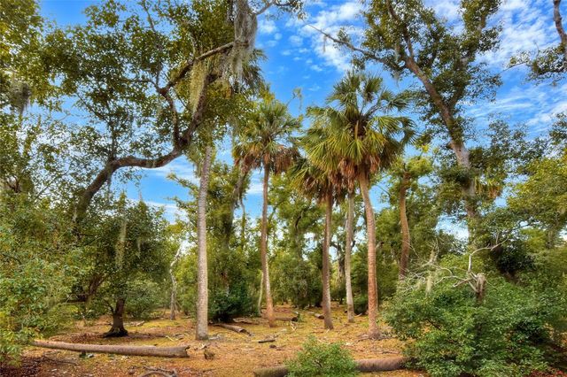 0 CARLTON LAKE ROAD, Wimauma, FL 33598