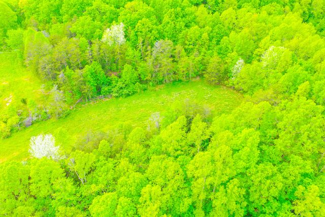 12818 N Highway 421, Manchester, KY 40962