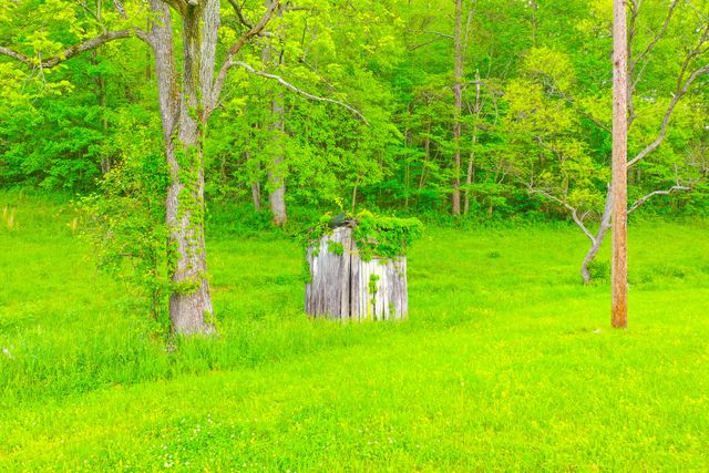 12818 N Highway 421, Manchester, KY 40962