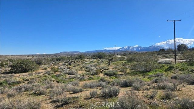 0 Valyermo Road, Pearblossom, CA 93553