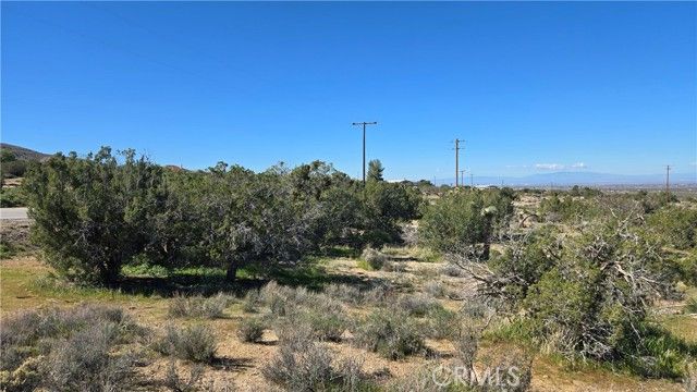 0 Valyermo Road, Pearblossom, CA 93553