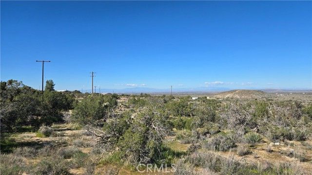 0 Valyermo Road, Pearblossom, CA 93553