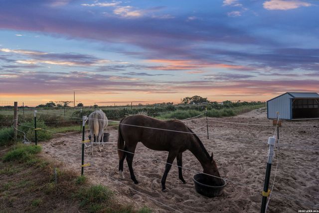 2870 County Road 120, Floresville, TX 78114