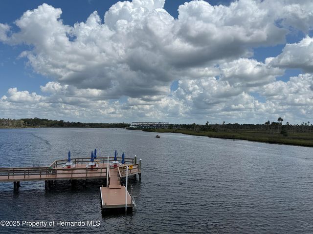 9339 N Milam Way, Citrus Springs, FL 34434
