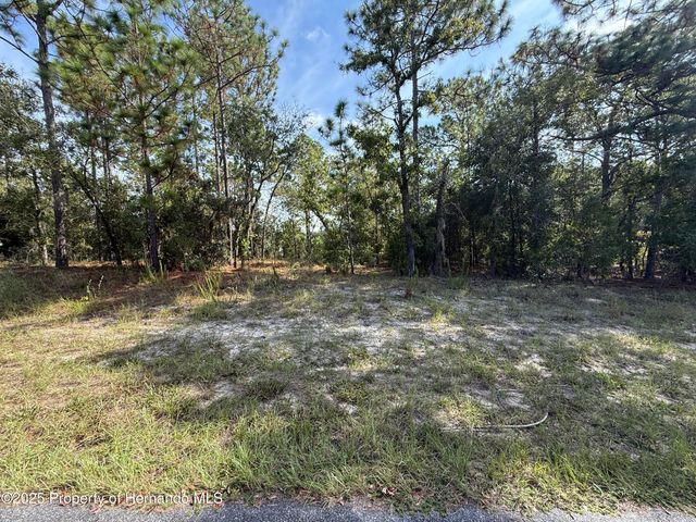 9339 N Milam Way, Citrus Springs, FL 34434