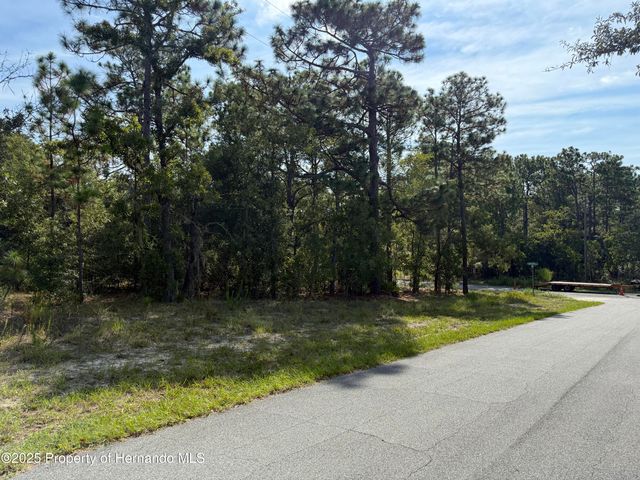 9339 N Milam Way, Citrus Springs, FL 34434