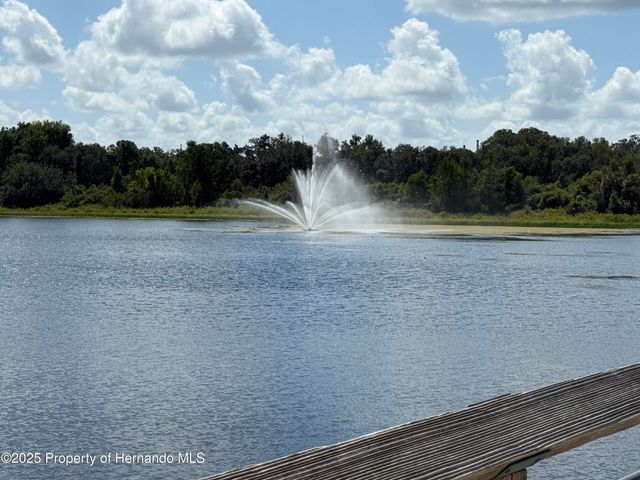 9339 N Milam Way, Citrus Springs, FL 34434
