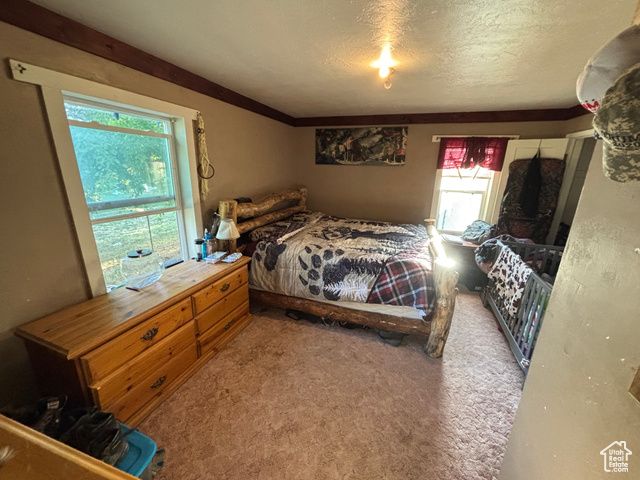 102 S MAIN ST, Paris, ID 83261