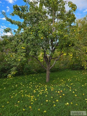 7281 N 45 E, Idaho Falls, ID 83401