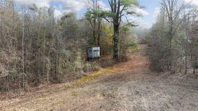 0 Brush Creek Dr., Akron, AL 35441