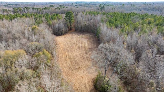 0 Brush Creek Dr., Akron, AL 35441