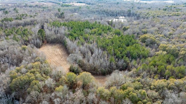 0 Brush Creek Dr., Akron, AL 35441