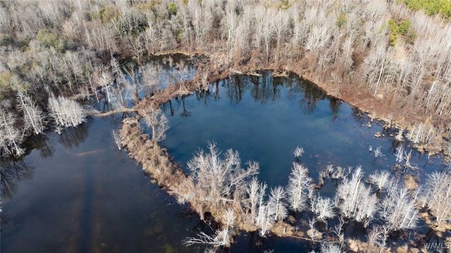 0 Brush Creek Dr., Akron, AL 35441