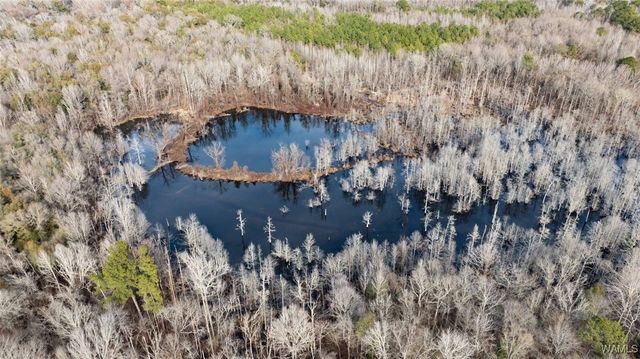 0 Brush Creek Dr., Akron, AL 35441