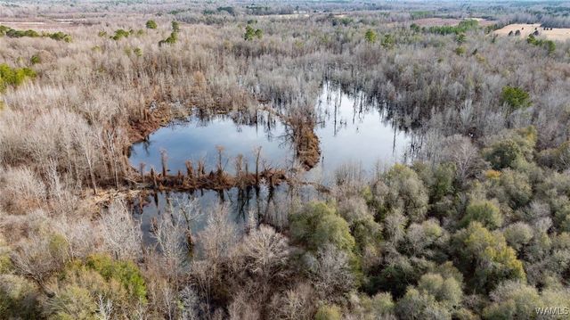 0 Brush Creek Dr., Akron, AL 35441