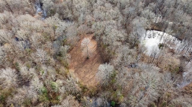 0 Brush Creek Dr., Akron, AL 35441