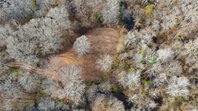 0 Brush Creek Dr., Akron, AL 35441