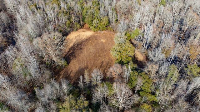 0 Brush Creek Dr., Akron, AL 35441