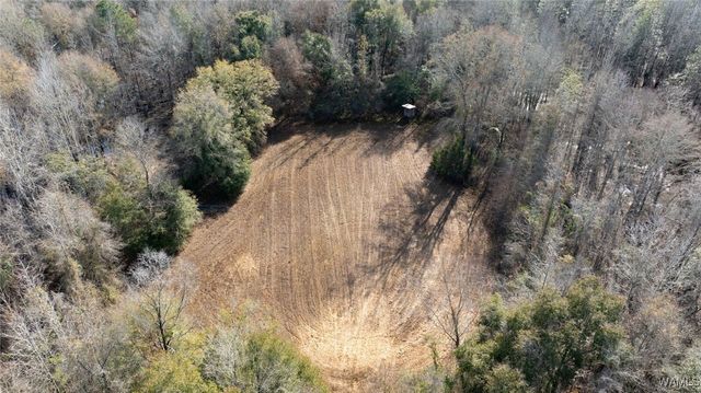 0 Brush Creek Dr., Akron, AL 35441