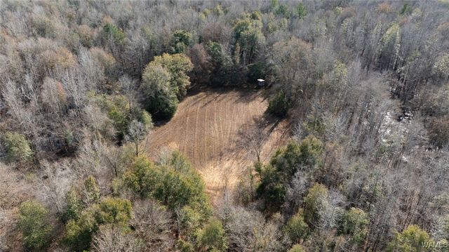 0 Brush Creek Dr., Akron, AL 35441