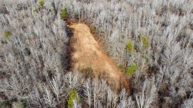 0 Brush Creek Dr., Akron, AL 35441