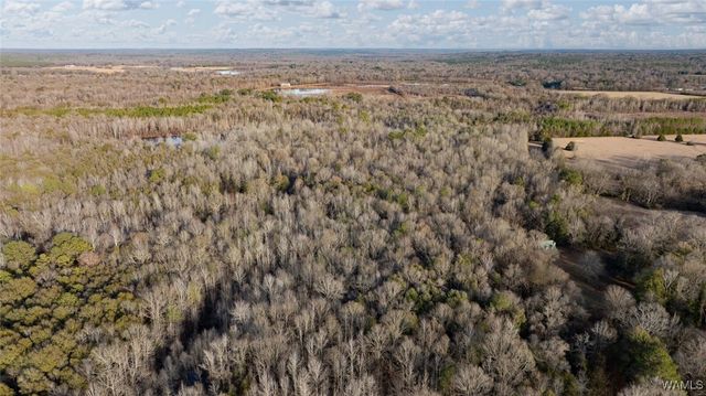 0 Brush Creek Dr., Akron, AL 35441