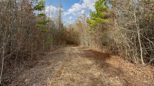 0 Brush Creek Dr., Akron, AL 35441