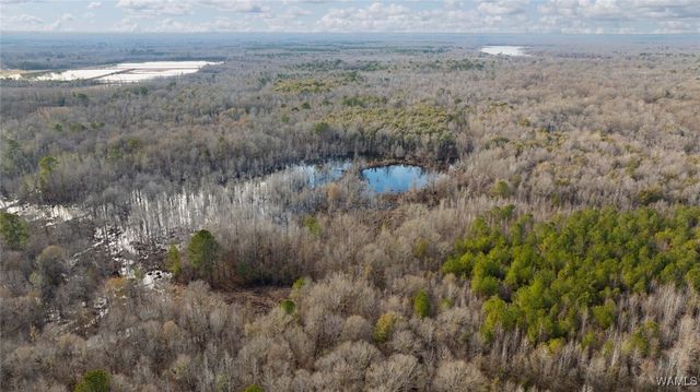 0 Brush Creek Dr., Akron, AL 35441