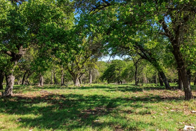 215 Dally, Fredericksburg, TX 78624