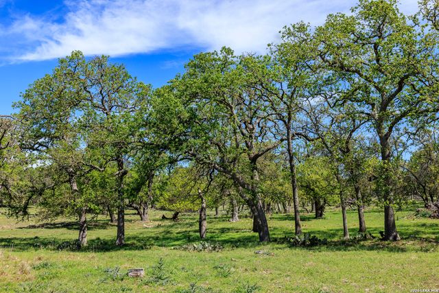 215 Dally, Fredericksburg, TX 78624