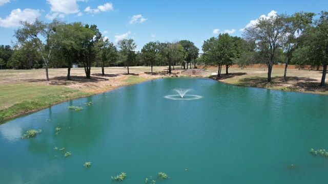 TBD Lot 5 Jayla Lane, Payne Springs, TX 75156
