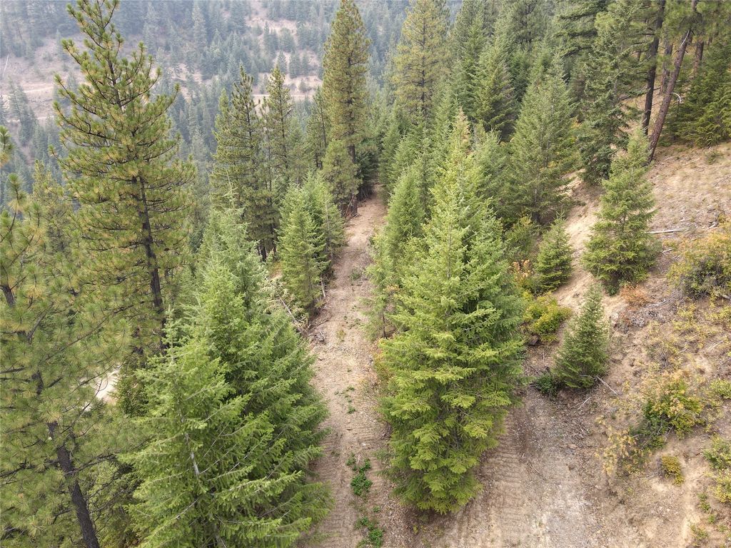 NHN NFD RD 2179, THOMPSON FALLS, MT 59873, THOMPSON FALLS, MT