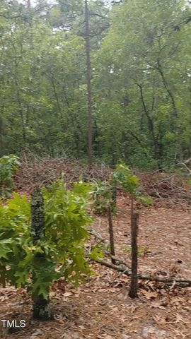 0 Mayer Road, Cameron, NC 28326