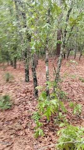 0 Mayer Road, Cameron, NC 28326