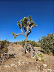 0 Murphys Lane, Littlerock, CA 93543