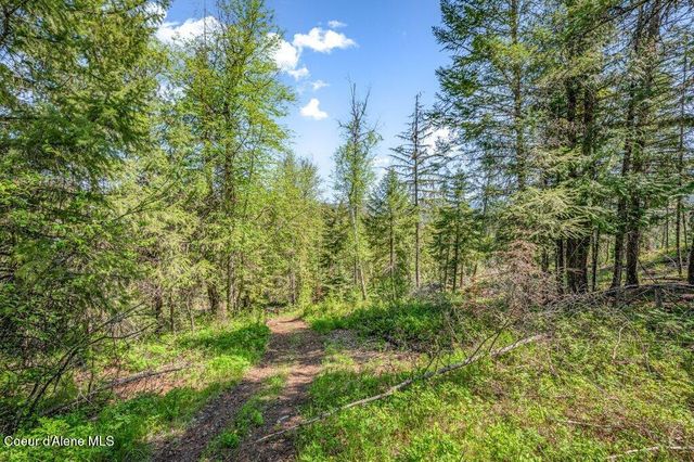 3183 Eastside RD, Priest River, ID 83856